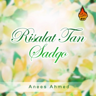 Anees Ahmed