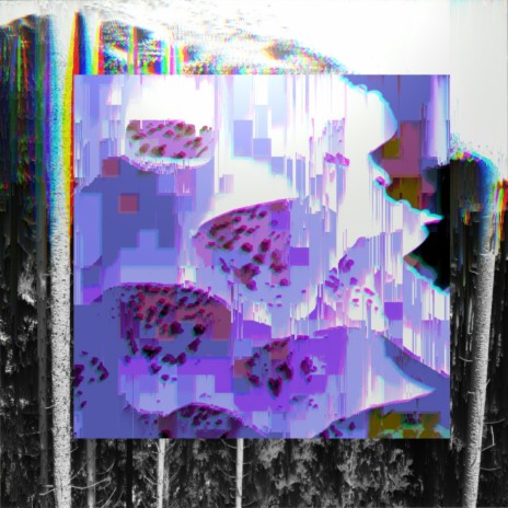 Light cover art