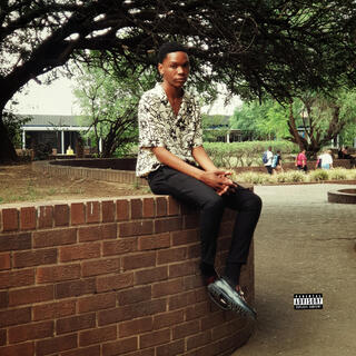 $hawn Amble