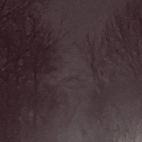 Skeletonz cover art