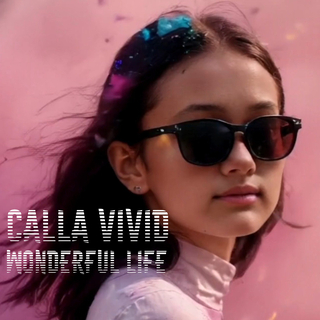 Wonderful Life