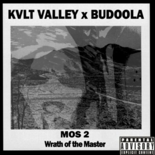 Microplastic Stew ft. BUDOOLA cover art