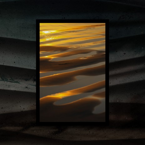 Nocturnal Wonders