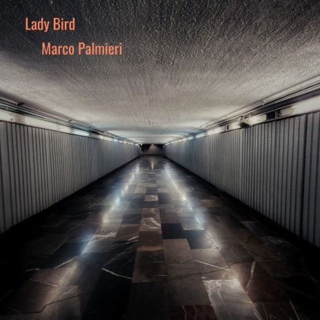 Lady Bird cover art