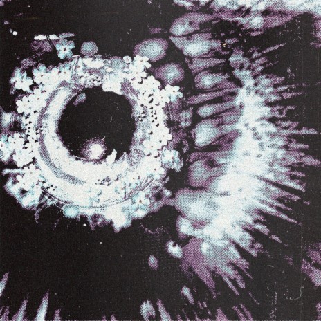 ViOLENTO desordenado por DANNY RAWFIELD cover art