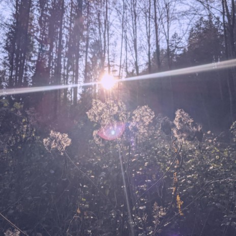 Timelapse