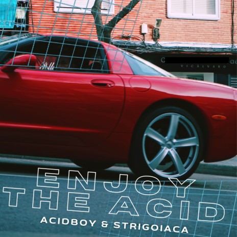 Enjoy the Acid ft. Strigoiaca cover art