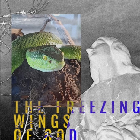 The Freezing Wings of God cover art