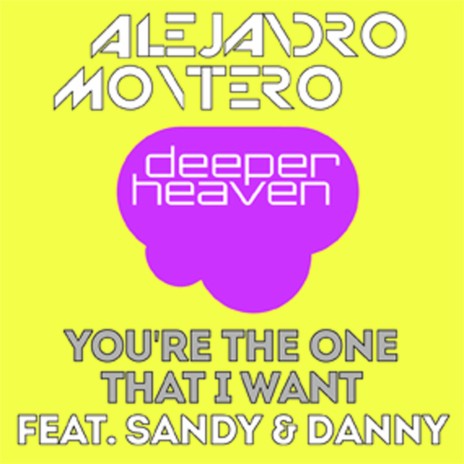 You're The One That I Want (Summer Radio Mix) ft. Sandy & Danny cover art
