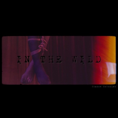 In the Wild cover art