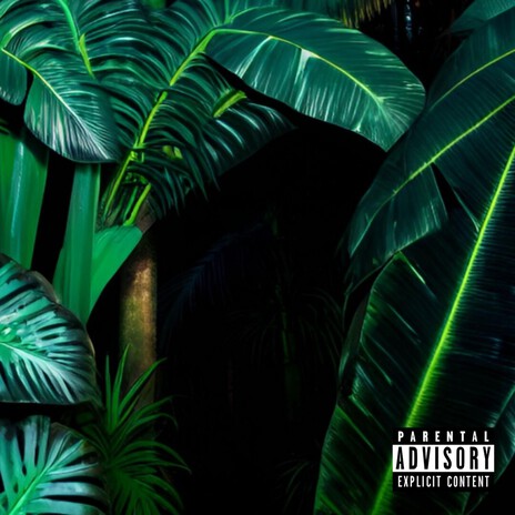 Intro Xoxetumari cover art