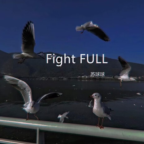 Fight Full