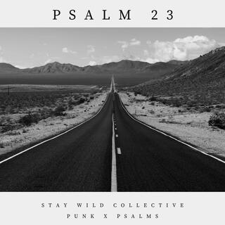 Stay Wild Collective