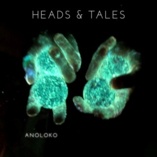 Heads & Tales