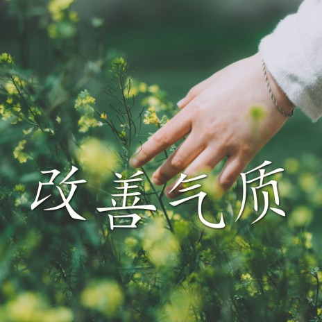 改善气质