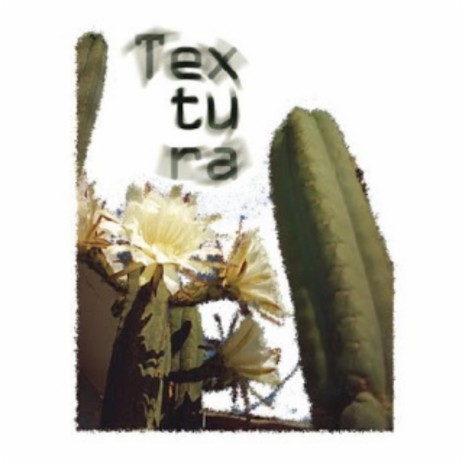 Jorgelina (En Vivo) cover art