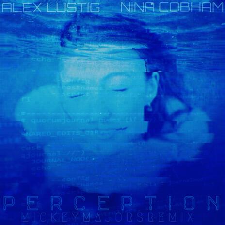 Perception cover art
