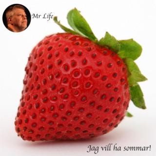 Mr Life
