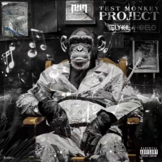 Test Monkey Project