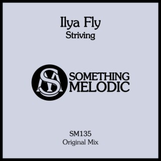 Striving (Radio Mix) cover art