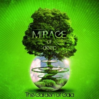Mirage of Deep