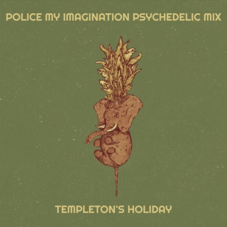 Police My Imagination (Psychedelic Mix) cover art