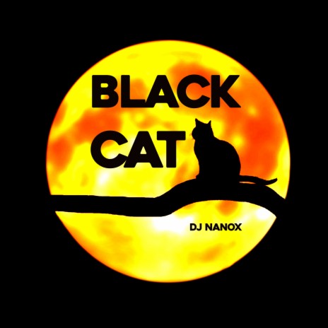 Black Cat cover art