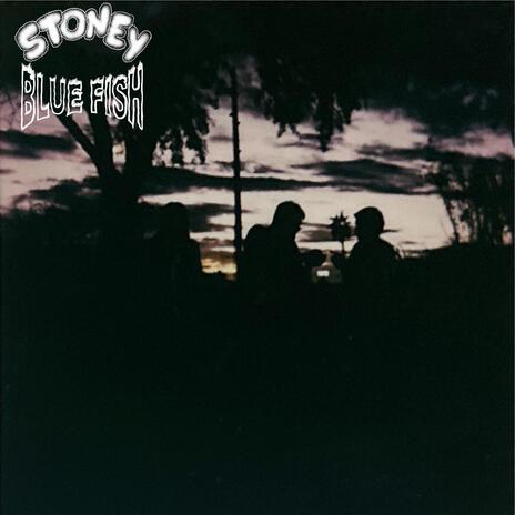 Palm Spring cover art