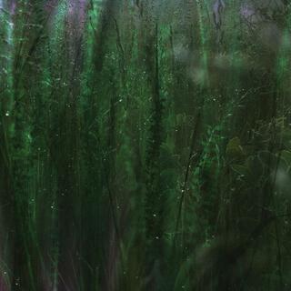 Petrichor