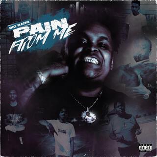 Pain From Me cover art
