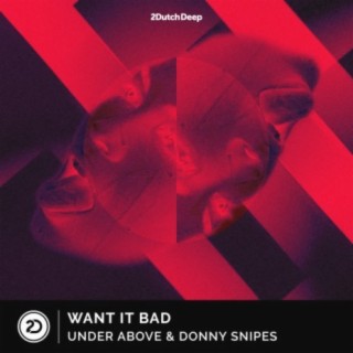 Want It Bad ft. Donny Snipes cover art