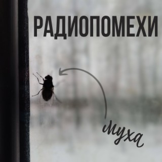Радиопомехи