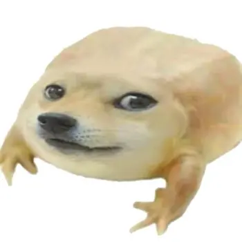 frogstyle cover art