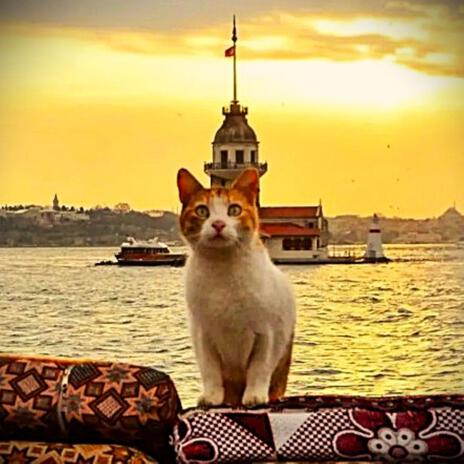 This Is Istanbul! (Oriental House) ft. Eylül Erol & DJ Avcii cover art