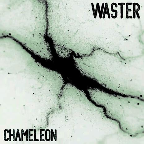 Chameleon cover art