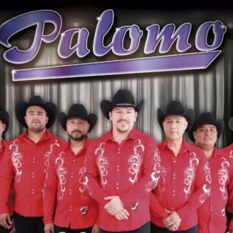Palomo