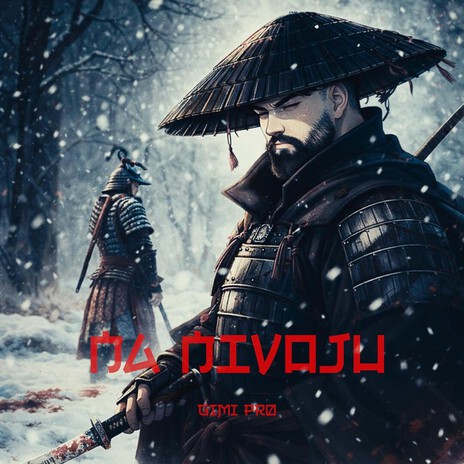 Na Nivoju cover art