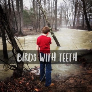 Birds with Teeth