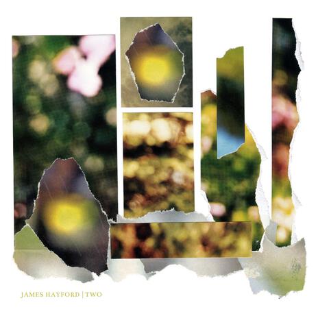 Deer At Market ft. William Suvanne cover art