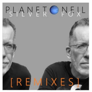 Silver Fox (Remixes)
