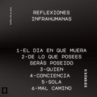 Reflexiones Infrahumanas