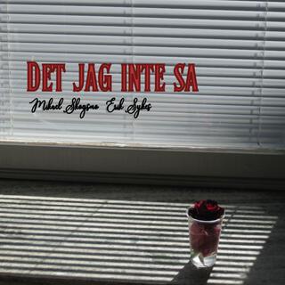Det jag inte sa