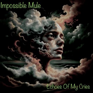 Echoes Of My Cries