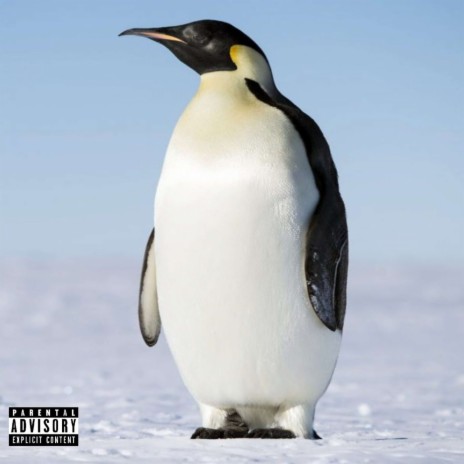 Rogue cover art