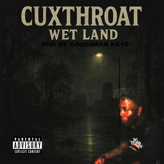 Wet land (Social media highlight) cover art
