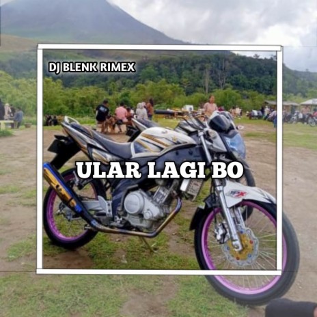 ULAR LAGI BO