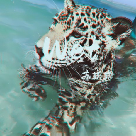 Wet