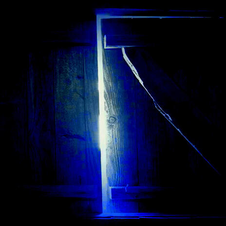 who's there? (slowed) cover art