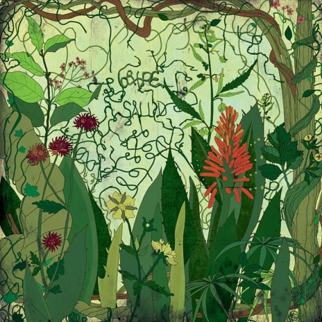 Niños Destrozadisimos cover art