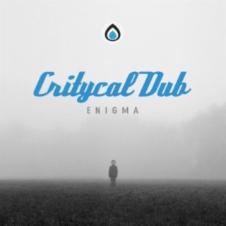 Critycal Dub
